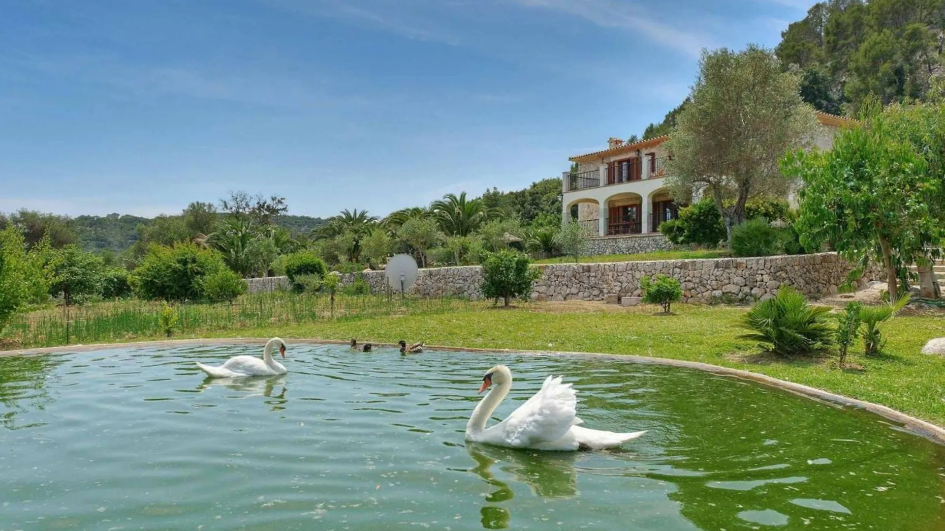 Wonderful Mallorca Villa - 4 Bedrooms - Villa Pollensa Treasure - Private Pool And Quiet Location - Pollensa  Pollenca
